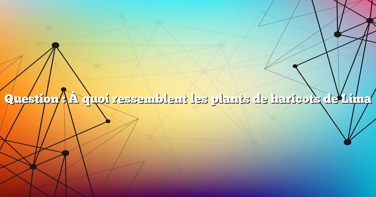 Question : À quoi ressemblent les plants de haricots de Lima